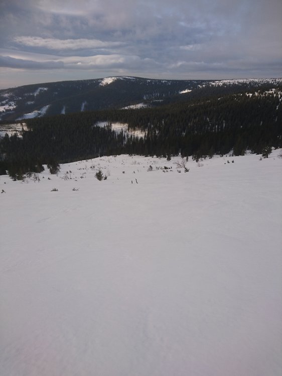 DSC_5087.JPG