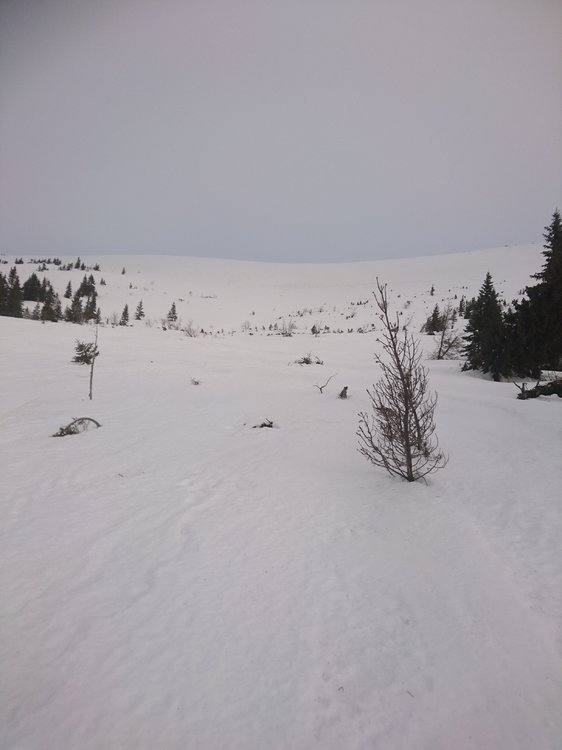 DSC_5089.JPG
