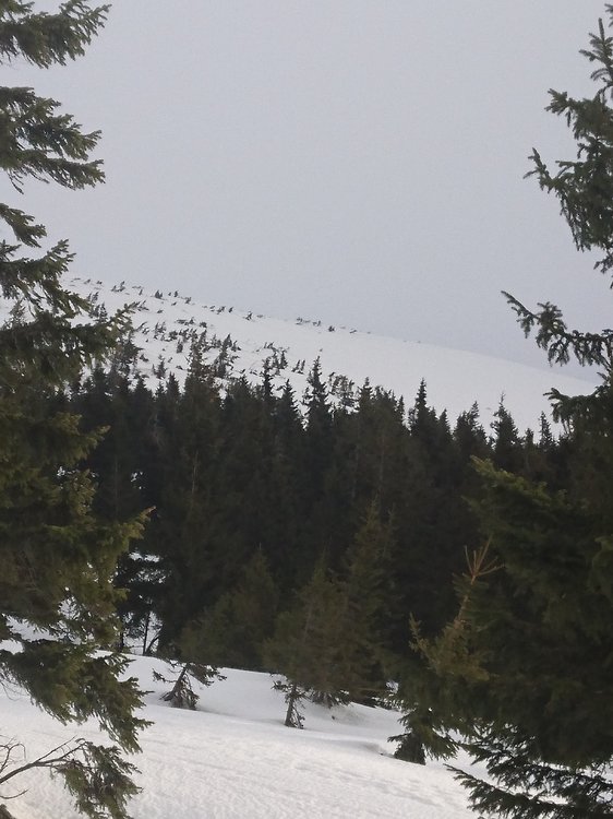 DSC_5094.JPG