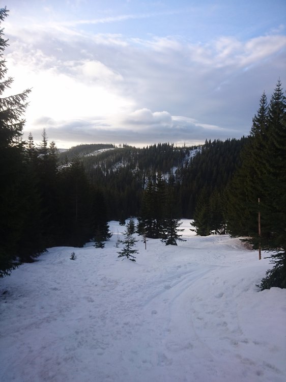 DSC_5103.JPG