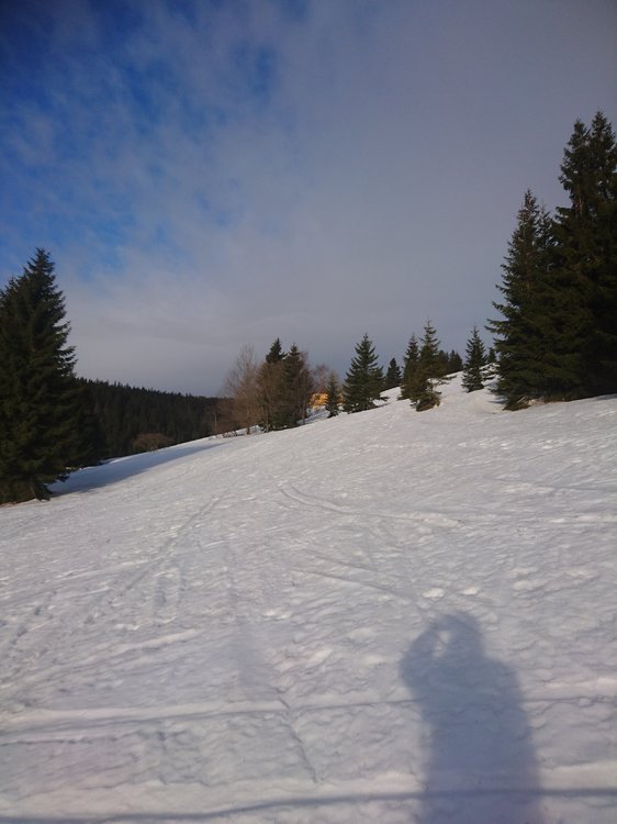 DSC_5107.JPG