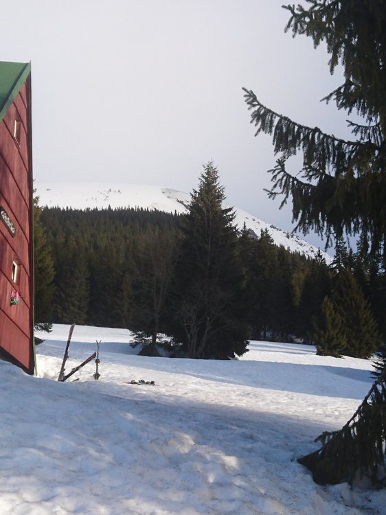 DSC_5118.JPG