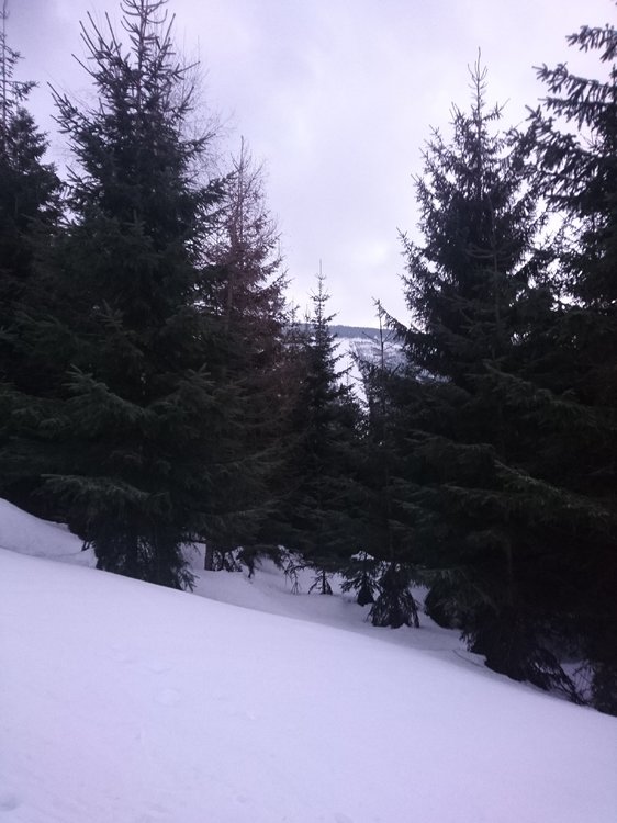 DSC_5245.JPG