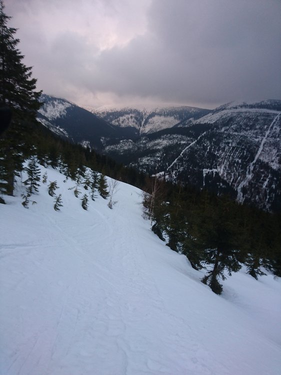DSC_5290.JPG