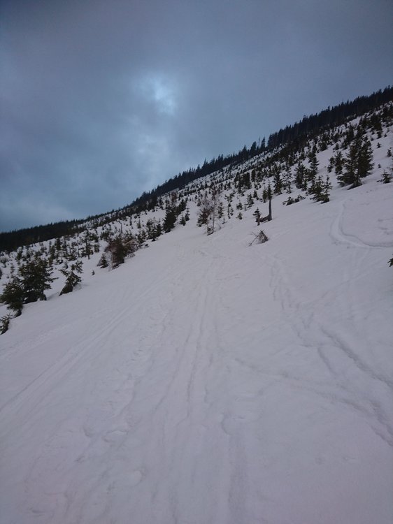 DSC_5296.JPG