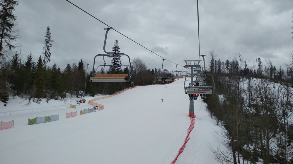 IMG_20190202_092946.jpg