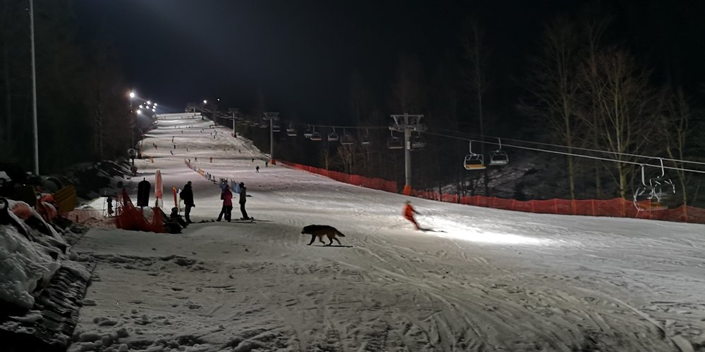 IMG_20190215_194619.jpg