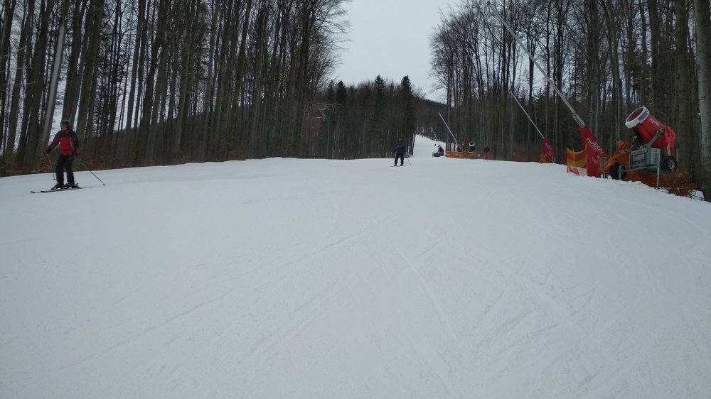 IMG_20190224_085506.jpg