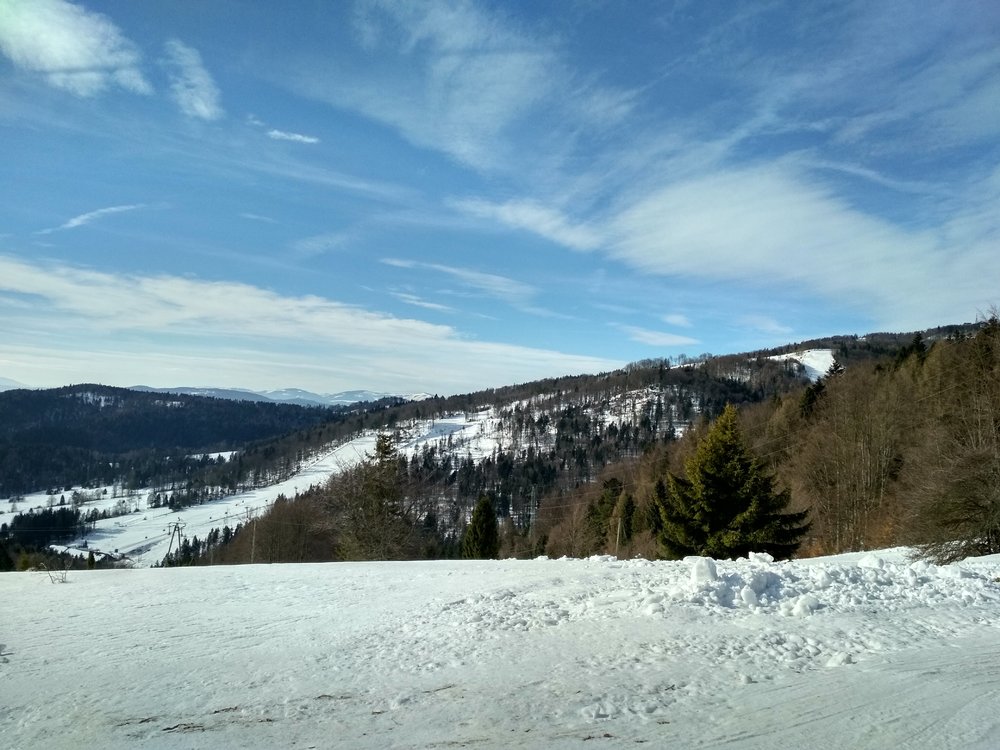 IMG_20190225_094325_HDR.thumb.jpg.cc8644e7cbf2a9b5f89c9e2d361a8f06.jpg