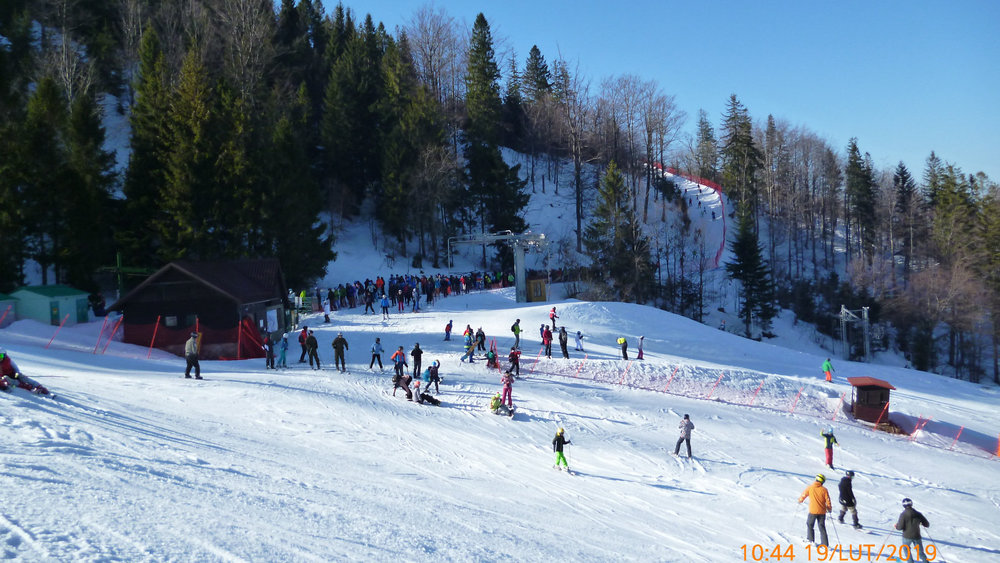 P1010261.JPG