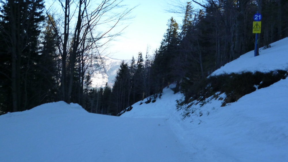 P1010291.thumb.JPG.7c7c3cc7da226bfc94b54ca034c6e2cc.JPG