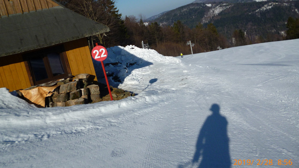 P1010307.thumb.JPG.4729bbb13b3ef035eb81175e1d75b98c.JPG