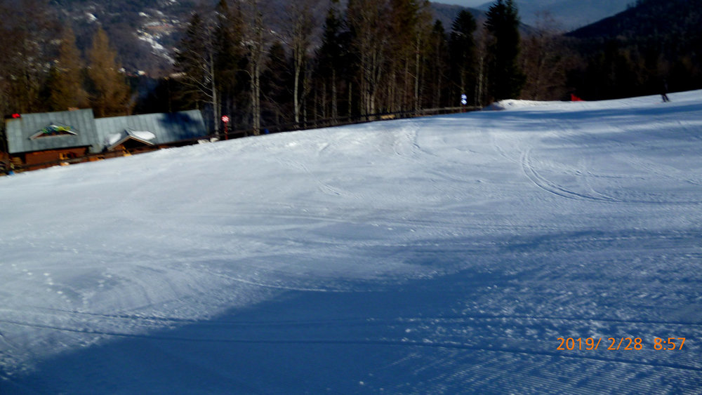 P1010310.thumb.JPG.77b0030455b6abe84a423497a44d3baf.JPG