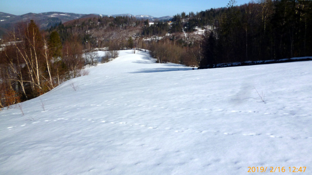 P1070427.JPG
