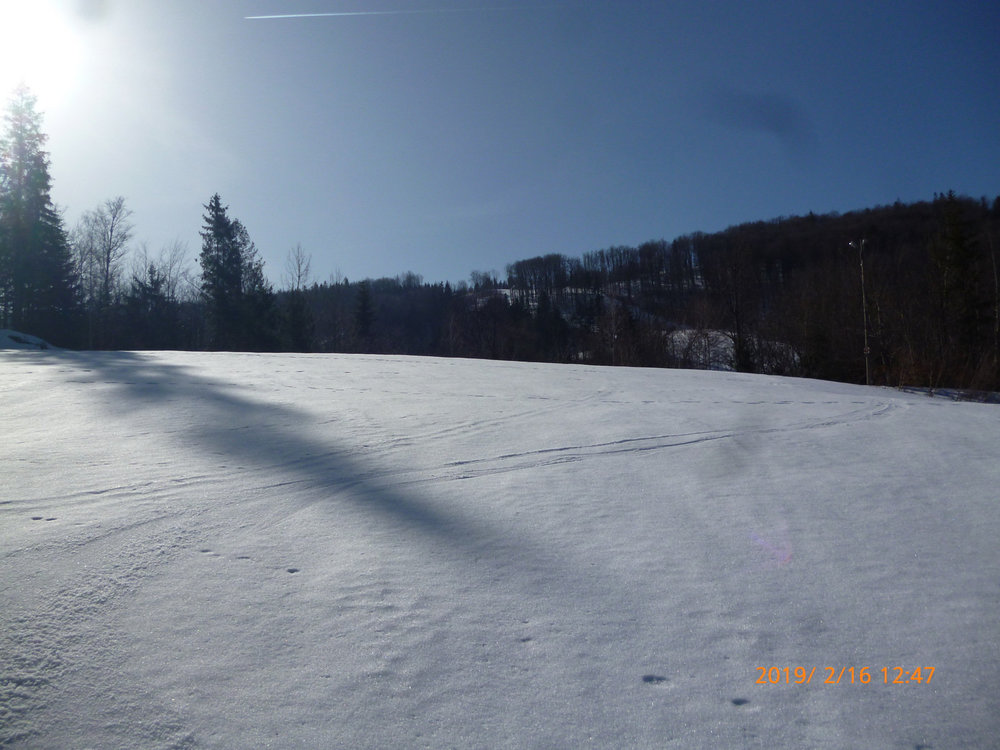 P1070429.JPG