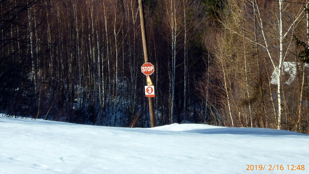 P1070431.JPG