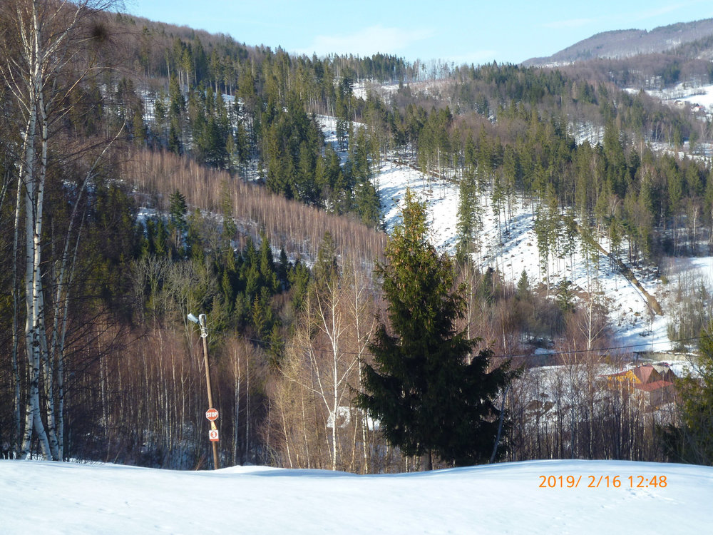 P1070432.JPG