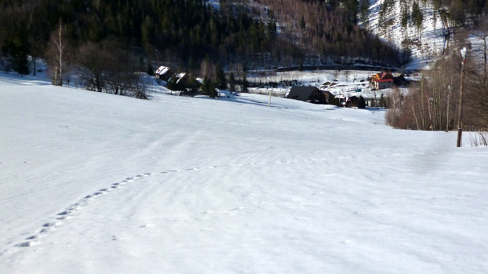 P1070434.JPG
