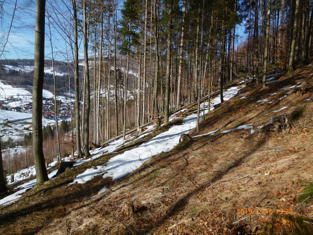 P1070444.JPG