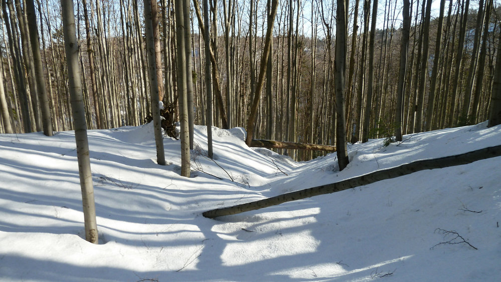 P1150965.JPG