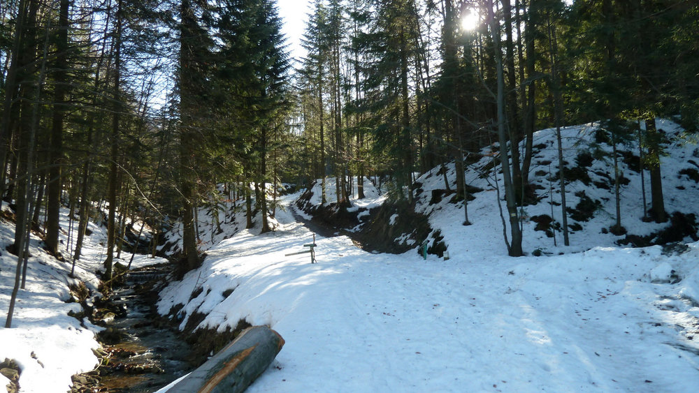 P1150974.JPG