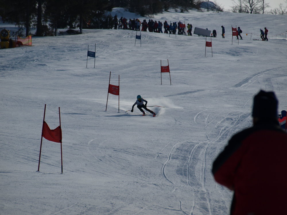 P2235410.thumb.JPG.4416eb09cb1babd2610ee56ec477bbc0.JPG