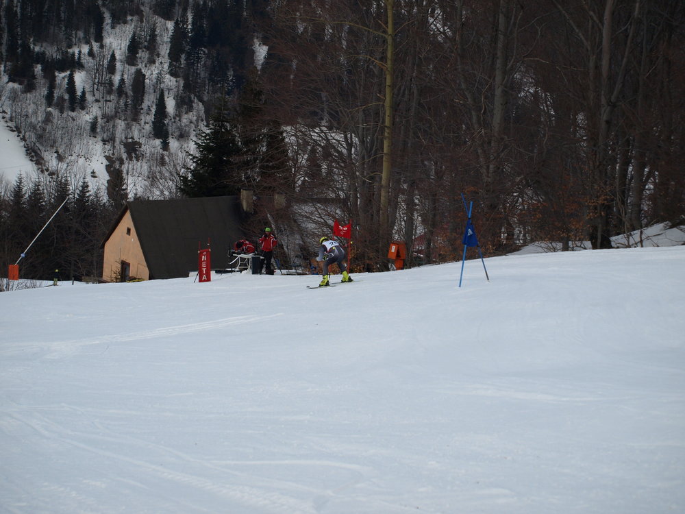 P2235491.thumb.JPG.394a0fb7a33d784c5c49e77e24c8e377.JPG