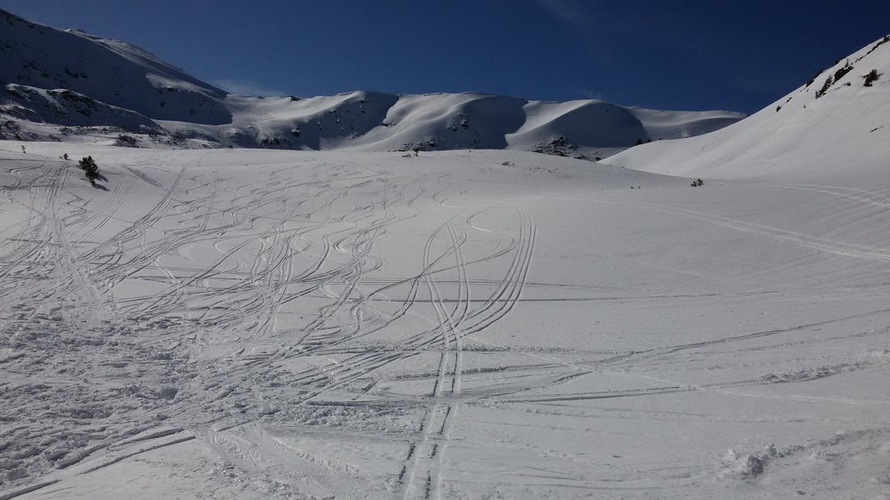 20190217_135424.thumb.jpg.3f903252ce7370bc144a6266f515fc3a.jpg
