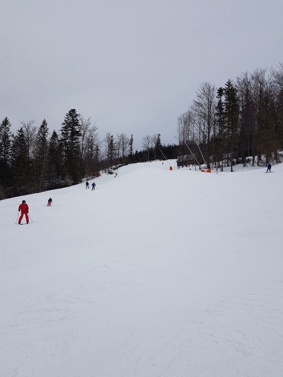 20190224_100054.jpg