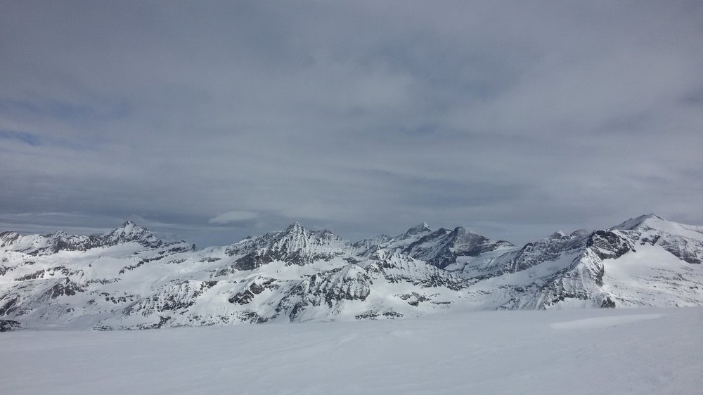 20190224_134446.thumb.jpg.85d635b708f0753482a574b1a1173767.jpg