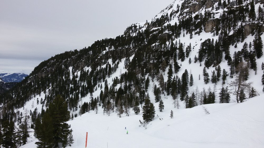 20190224_153517.thumb.jpg.9feb6c6f982126b8c3dd32718c5da185.jpg
