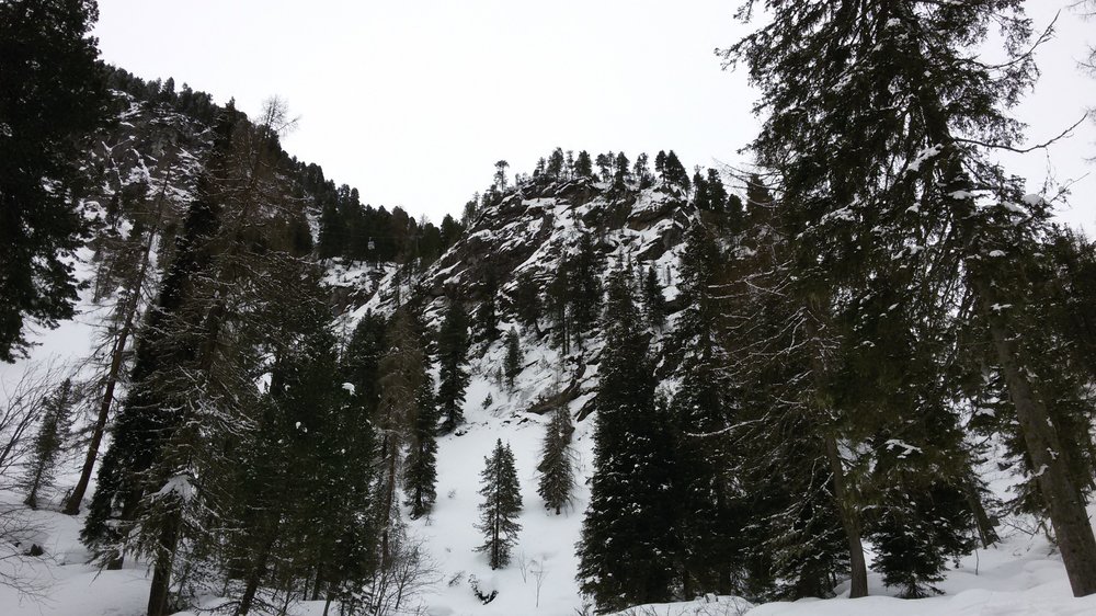 20190224_154651.thumb.jpg.b164b1a09e928e18bdaa3e2ffe37cbb4.jpg