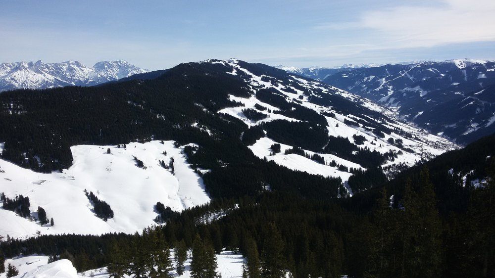 20190226_115522.thumb.jpg.d20c8687c0a7ba0951f222a8fa6a96d2.jpg