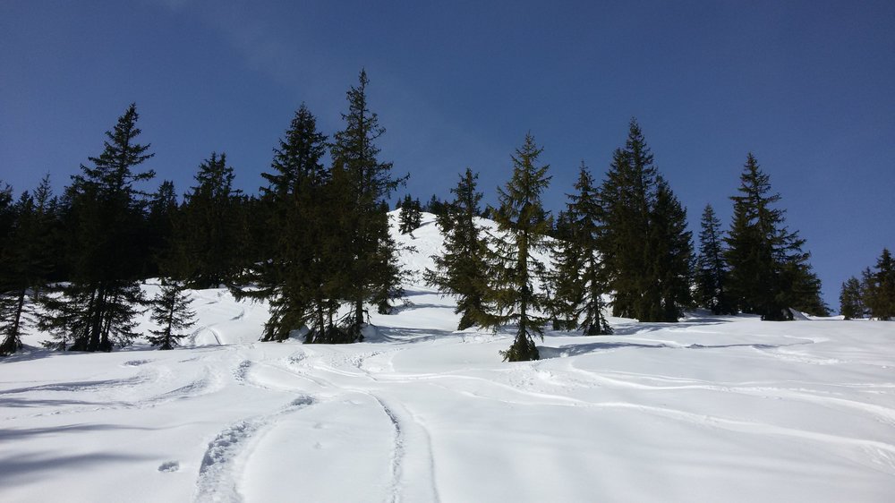 20190226_115933.thumb.jpg.7d9573f39f54f3d7457d29a524dffa18.jpg
