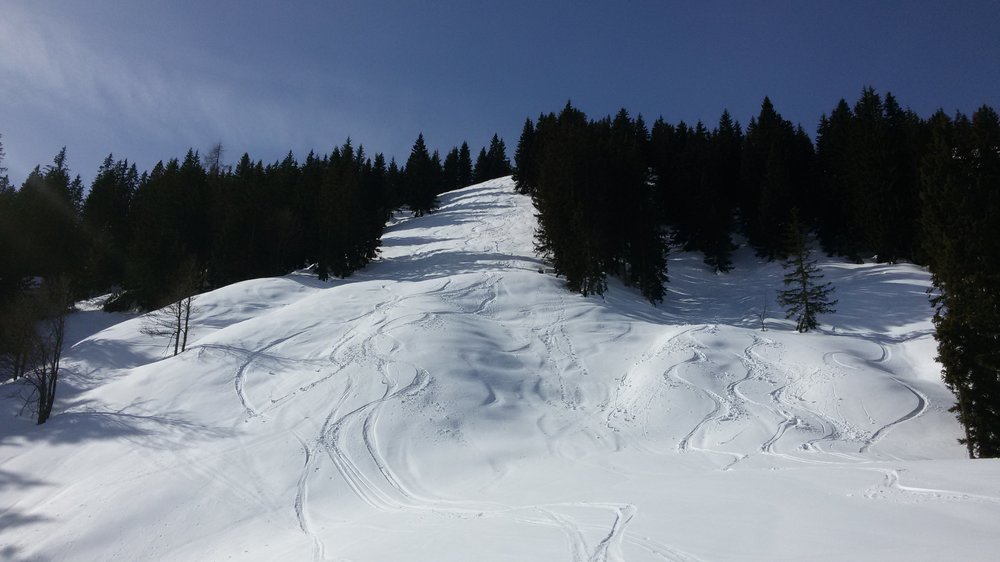 20190226_120257.thumb.jpg.03306593c3f8b7d6375a0f9295578874.jpg