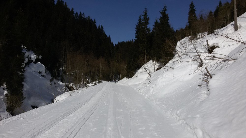 20190226_121550.thumb.jpg.e465e63c17339ac217ea653554652596.jpg