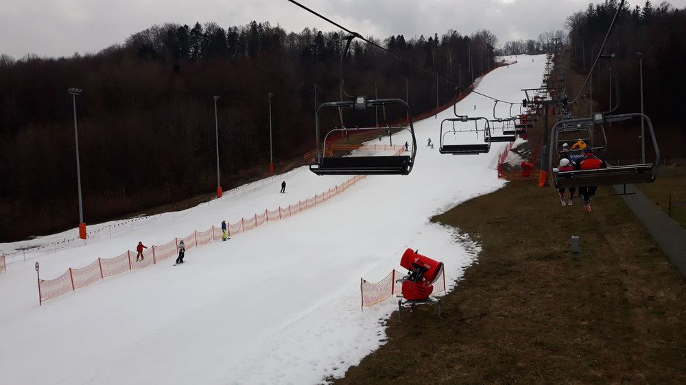 20190302_125716.thumb.jpg.9b30aa7b488df6b3320ee8965b6271a5.jpg