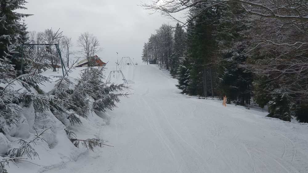 20190302_141240.jpg