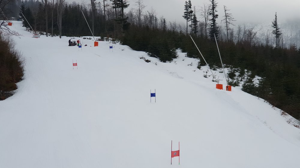 20190303_092230.jpg