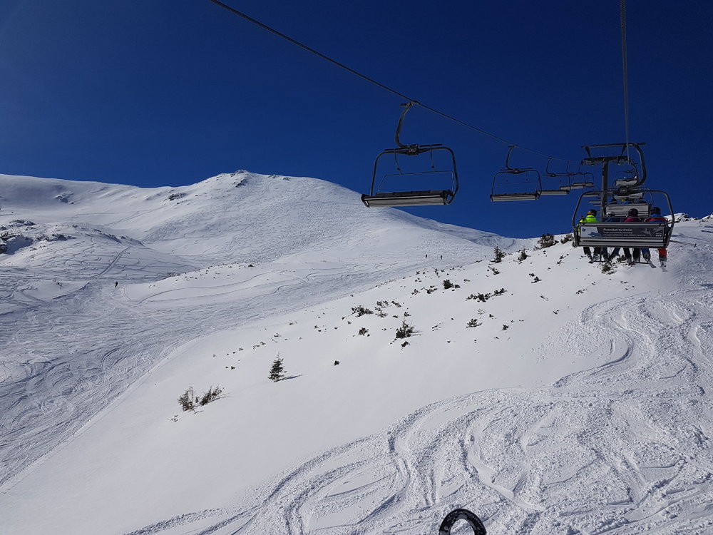 20190306_101315.jpg