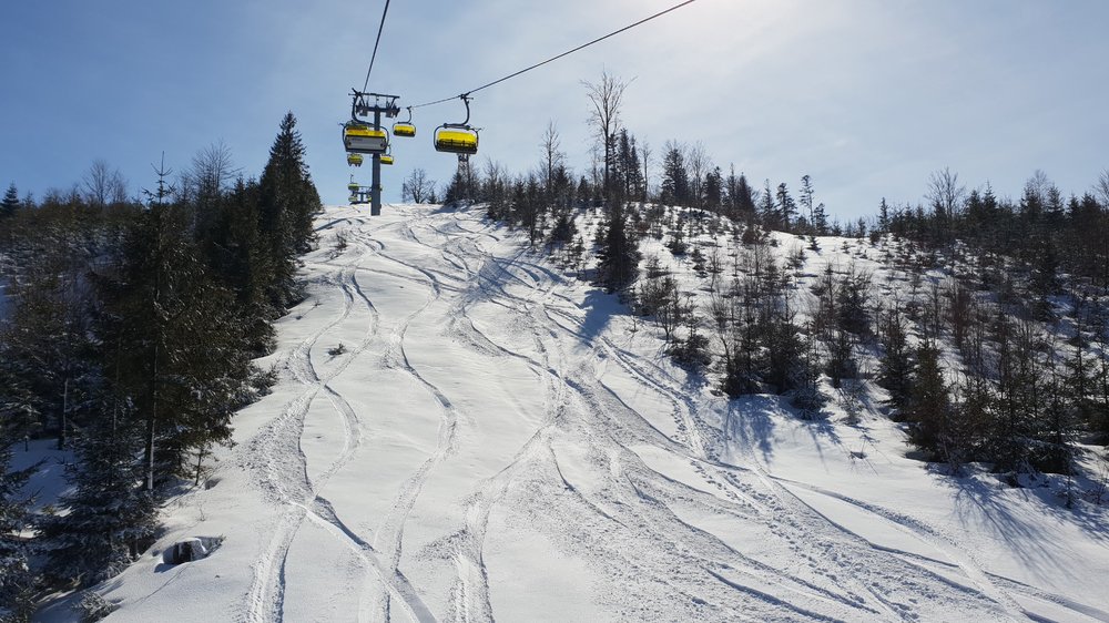 20190306_114523.jpg