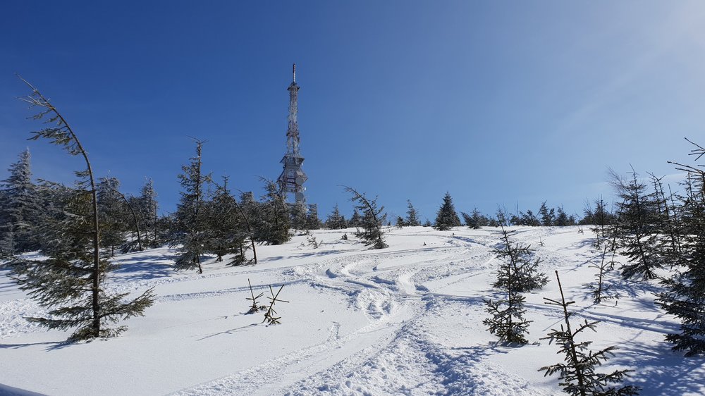 20190306_131545.jpg