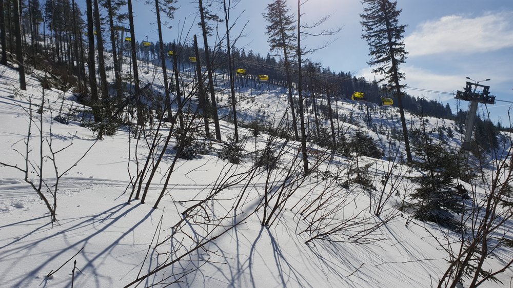 20190306_132044.jpg