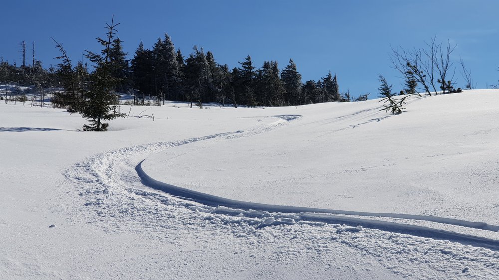 20190306_135653.jpg