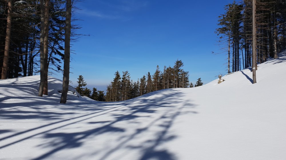 20190306_140216.jpg