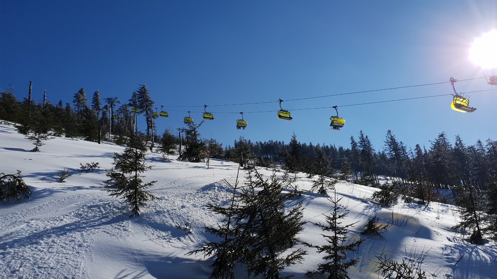 20190306_142229.jpg