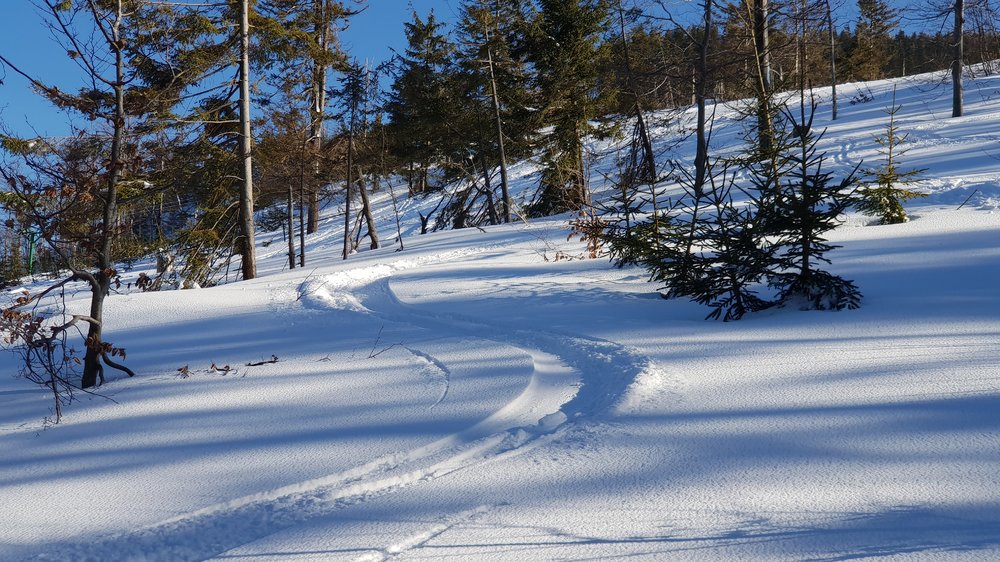 20190306_145702.jpg