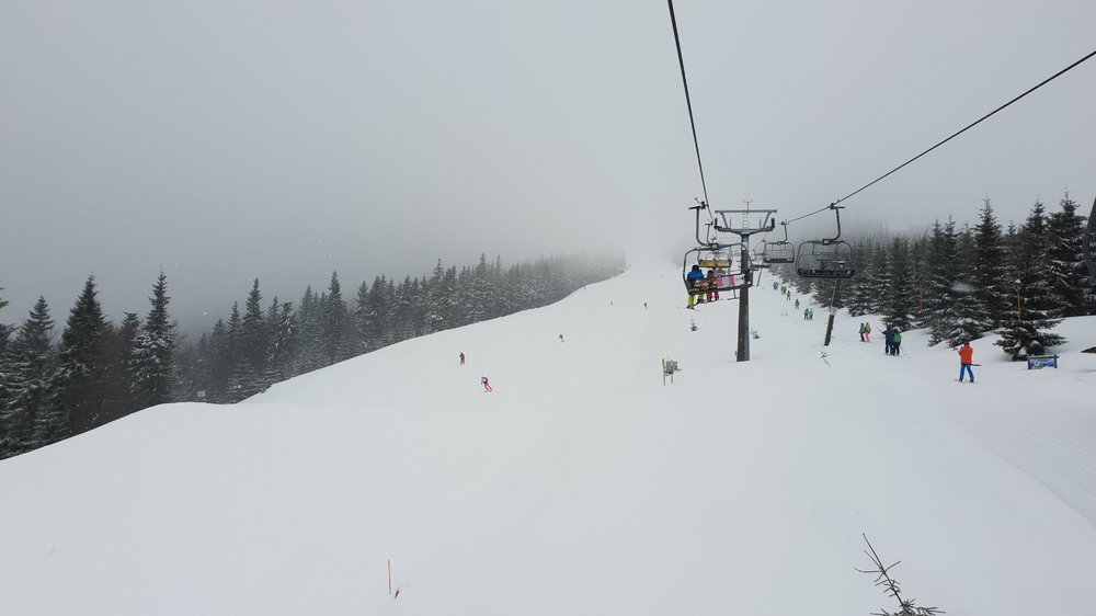 20190311_095132.jpg