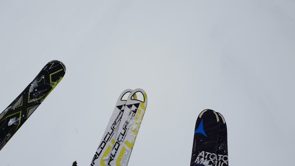 20190311_095135.jpg