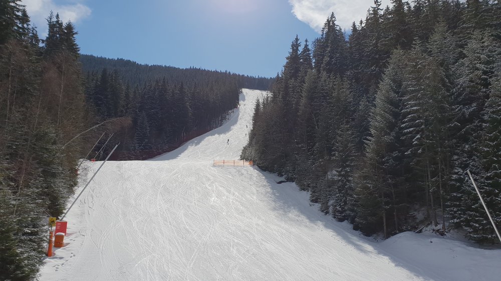 20190311_133007.jpg